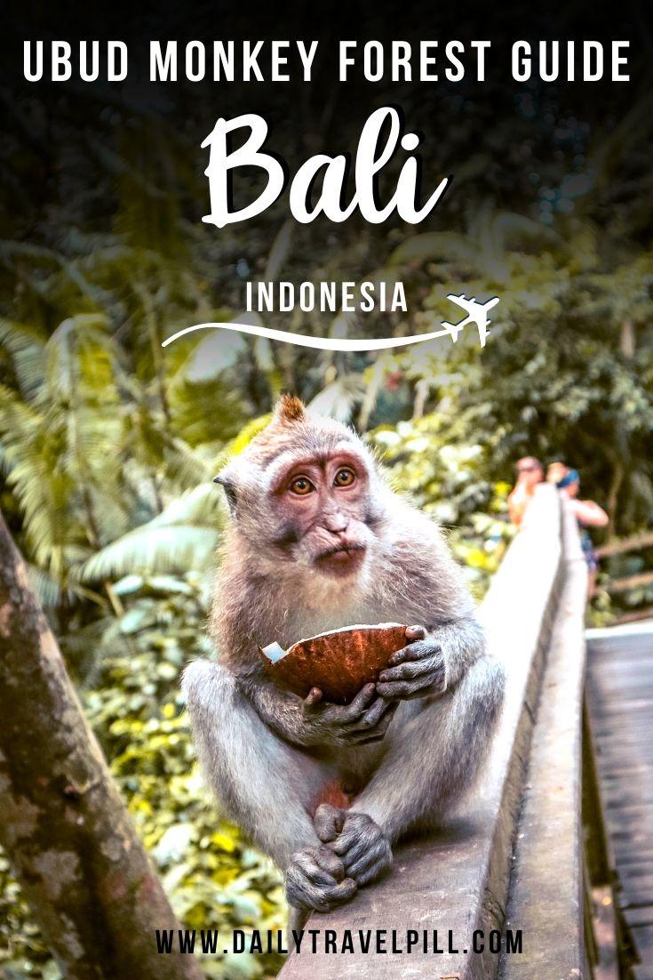 Visiting the Ubud Monkey Forest in Bali