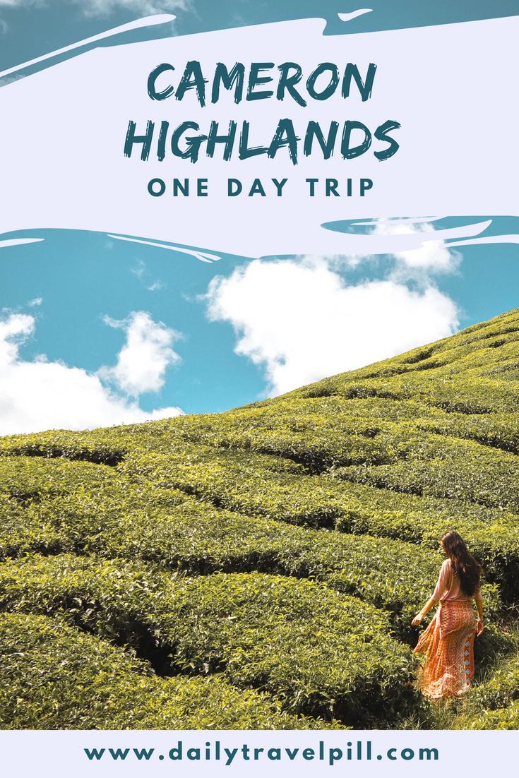 Cameron Highlands one day trip