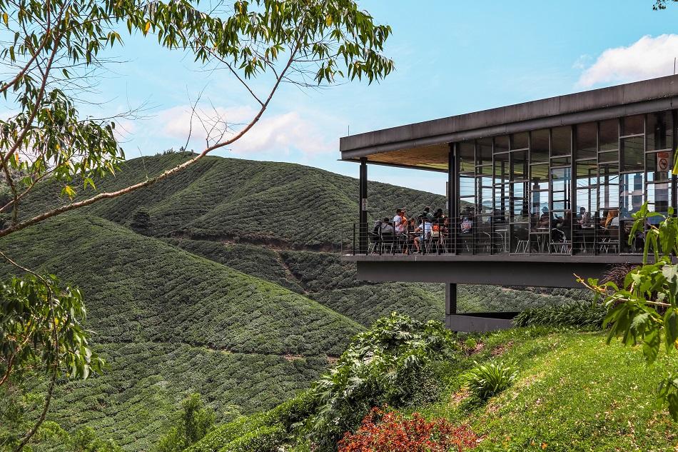 Cameron Highlands tea plantation - BOH