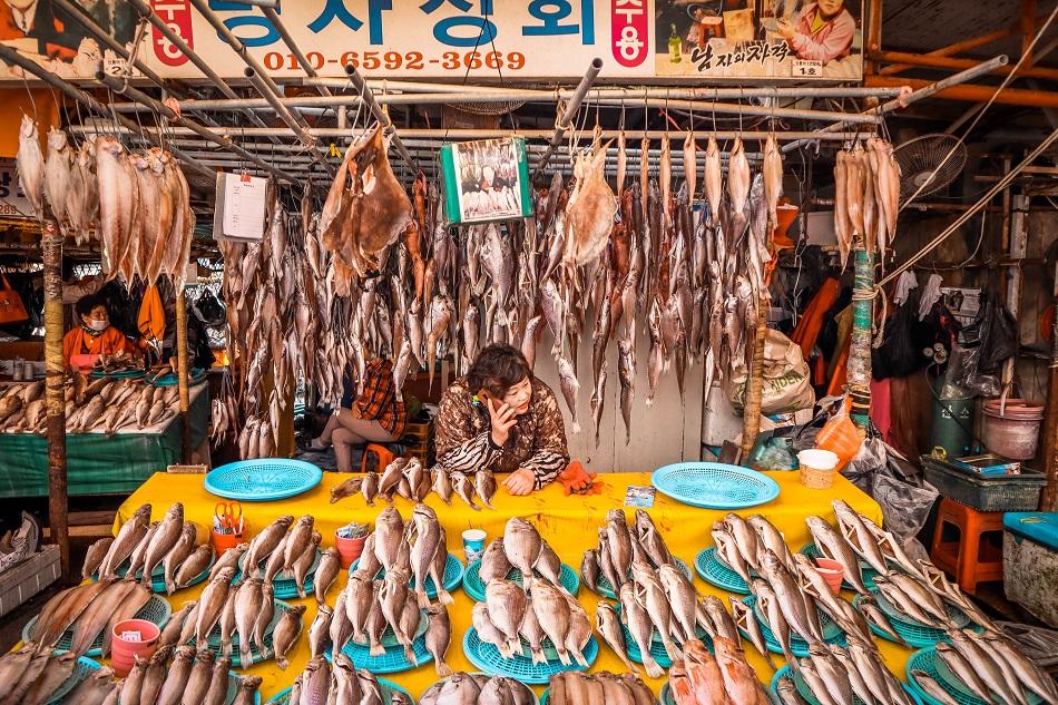 Stalls at Busan Jagalchi Fish Market