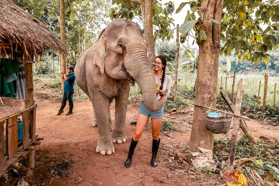 Mandalao Elephant Sanctuary, Luang Prabang, Laos