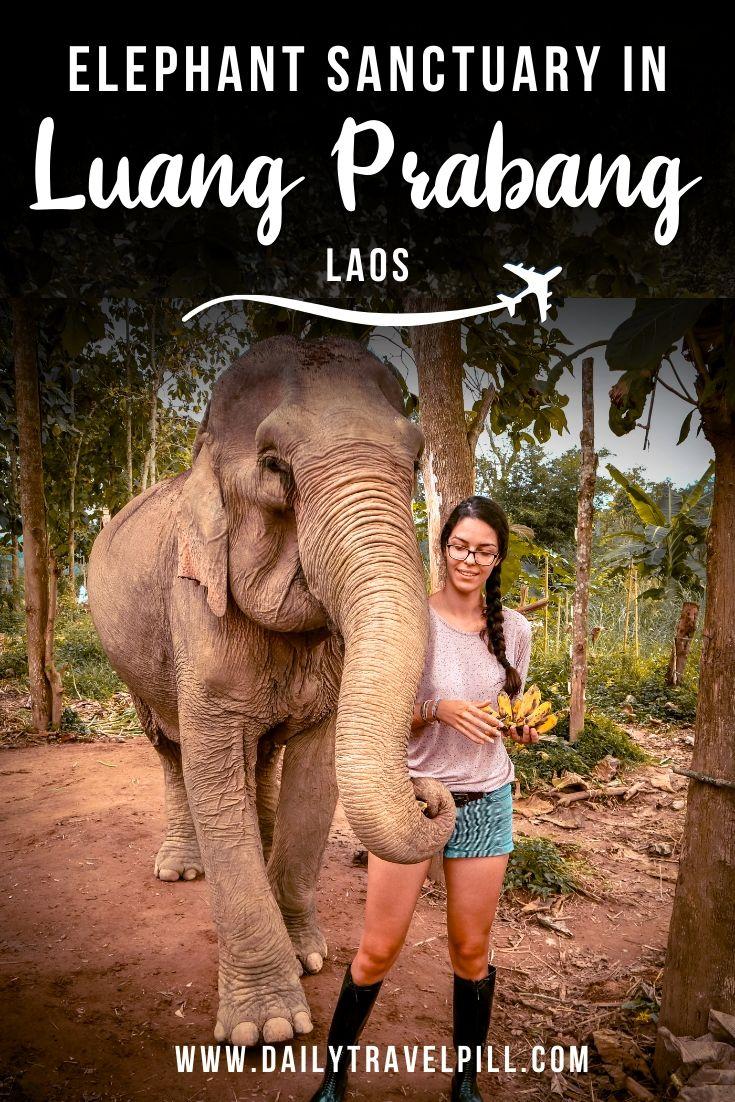 Mandalao ethical elephant sanctuary in Luang Prabang, Laos