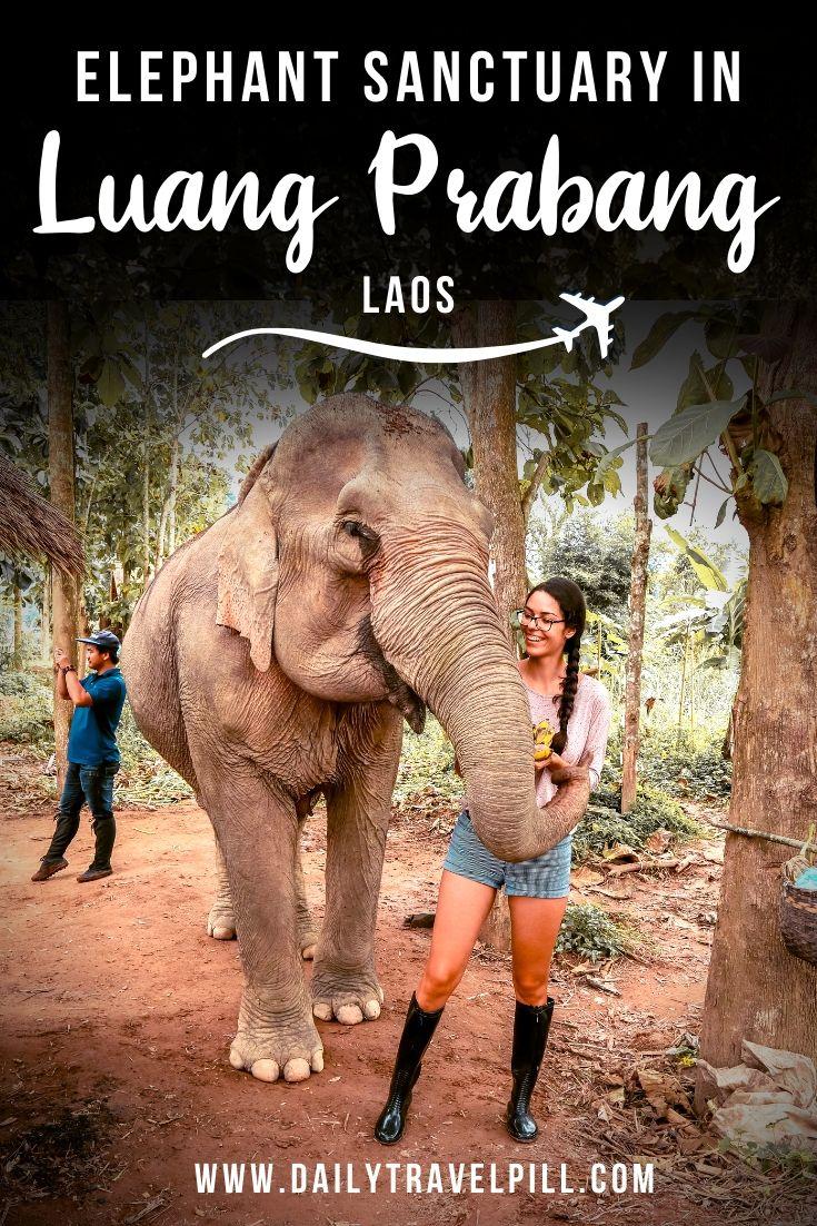 Mandalao ethical elephant sanctuary in Luang Prabang, Laos