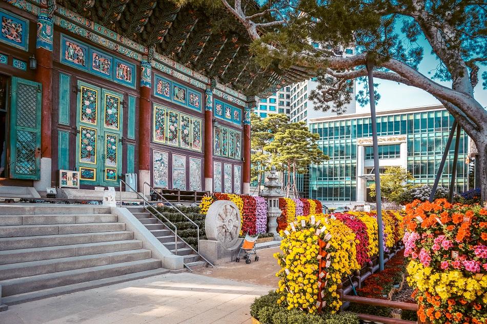 Yogyesa Temple front flowers, Seoul