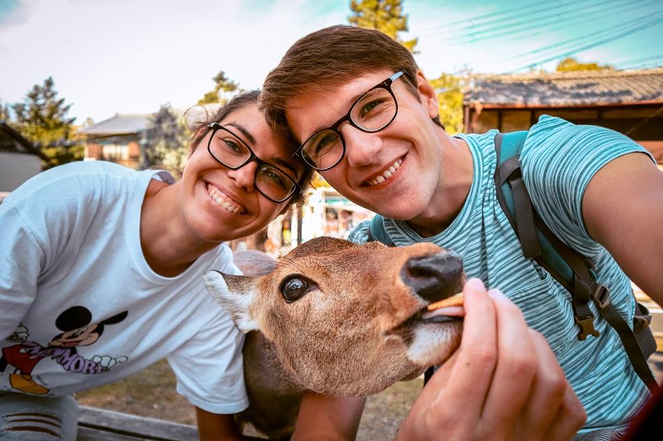 Cute deer selfie at Nara Park, Japan