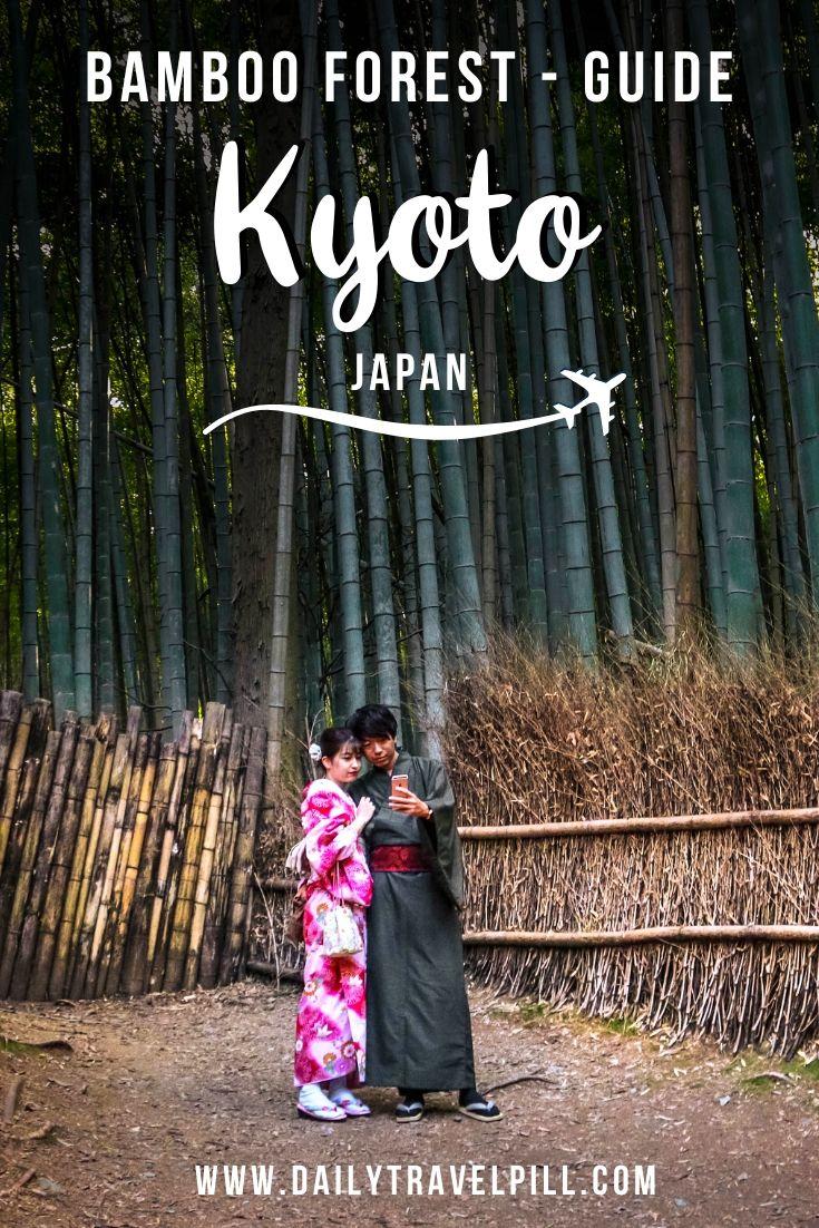 Arashiyama Bamboo Forest Kyoto - what you need to know