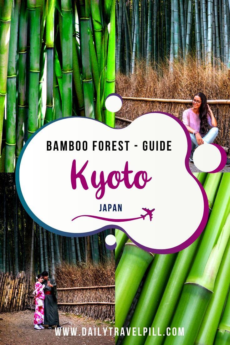 Arashiyama Bamboo Forest Kyoto - what you need to know