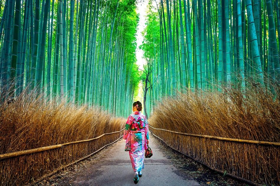 Arashiyama Bamboo Forest