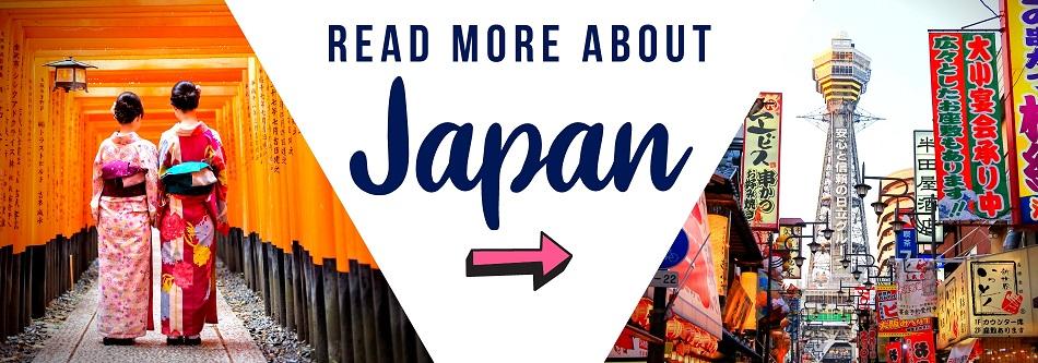 3 weeks travel japan