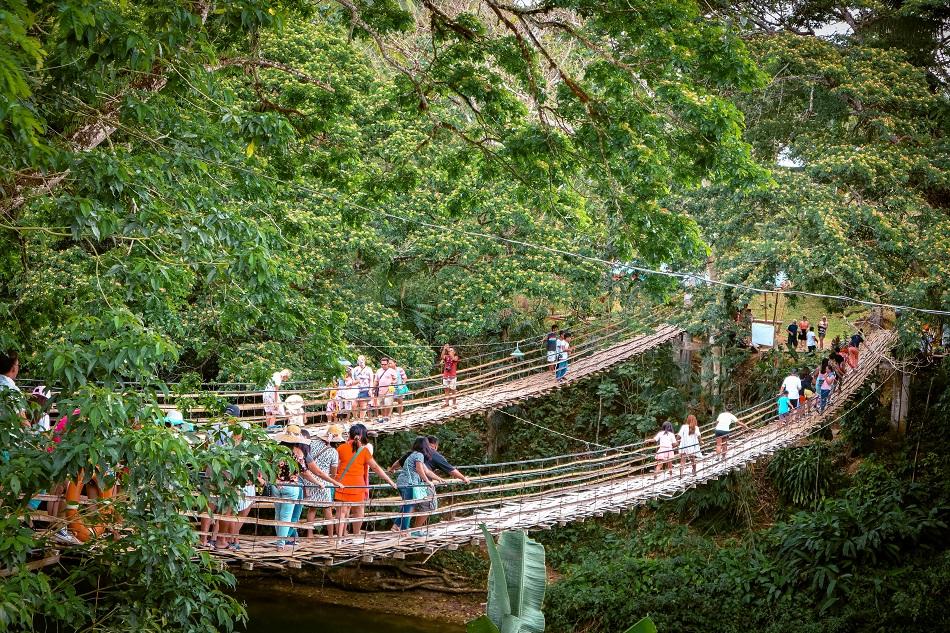 The Twin Bamboo Hanging Bridge in Bohol, Philippines