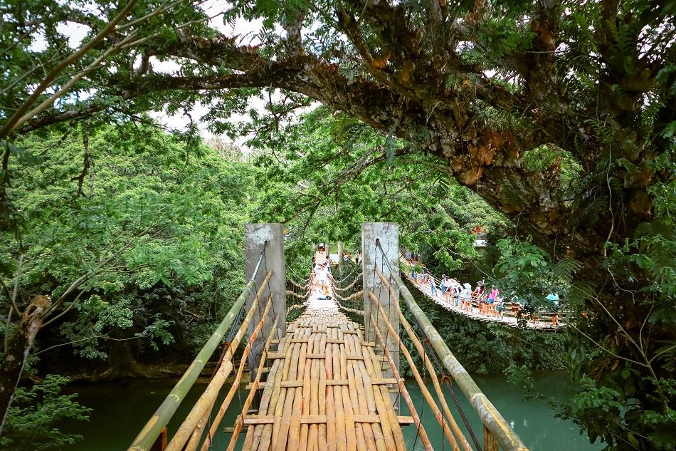 The Twin Bamboo Hanging Bridge in Bohol, Philippines