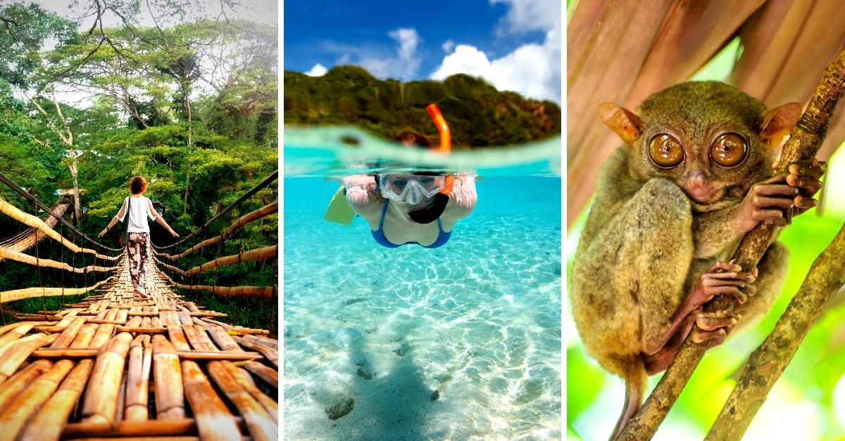 top tourist attractions in bohol