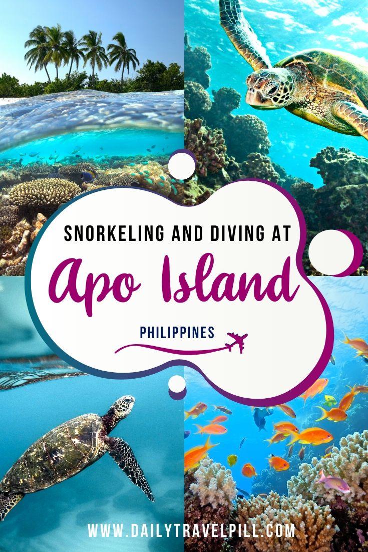 Swimming and diving at Apo Island, Philippines