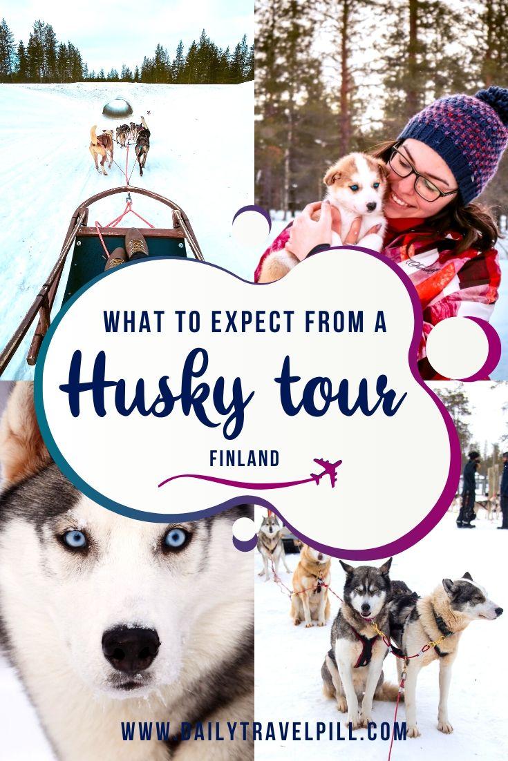 Husky dog sledding Lapland, Finland