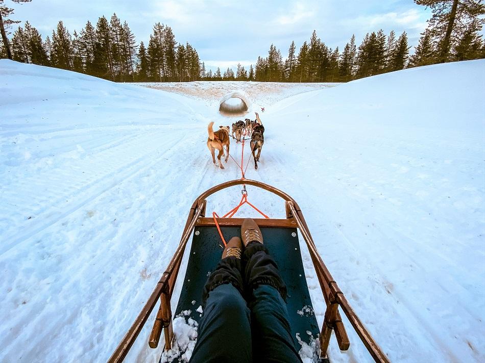 Kakslauttanen Arctic Resort husky sledding safari