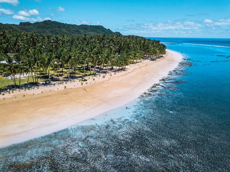 Pacifico Beach Siargao drone view. Palm trees near Pacifico Beach Resort in Siargao, Philippines