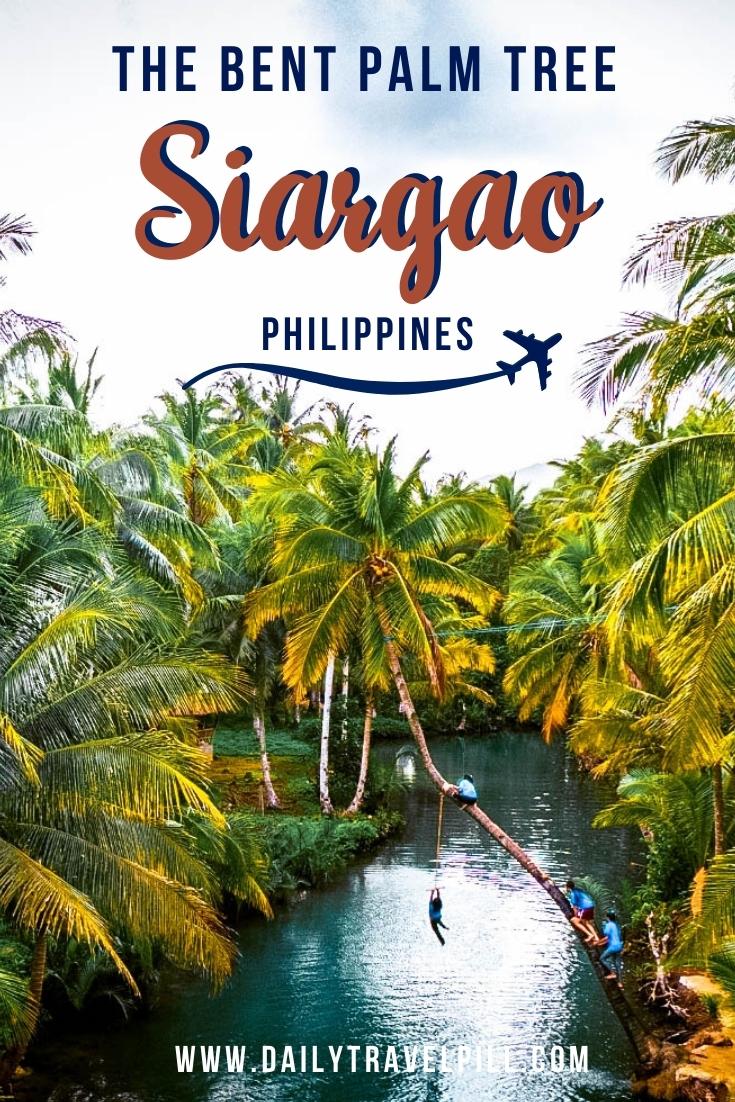 Siargao Bent Palm Tree Swing Travel Guide