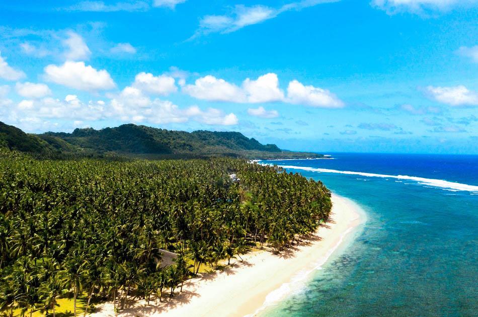 Pacifico Beach Siargao drone view. Palm trees near Pacifico Beach Resort in Siargao, Philippines