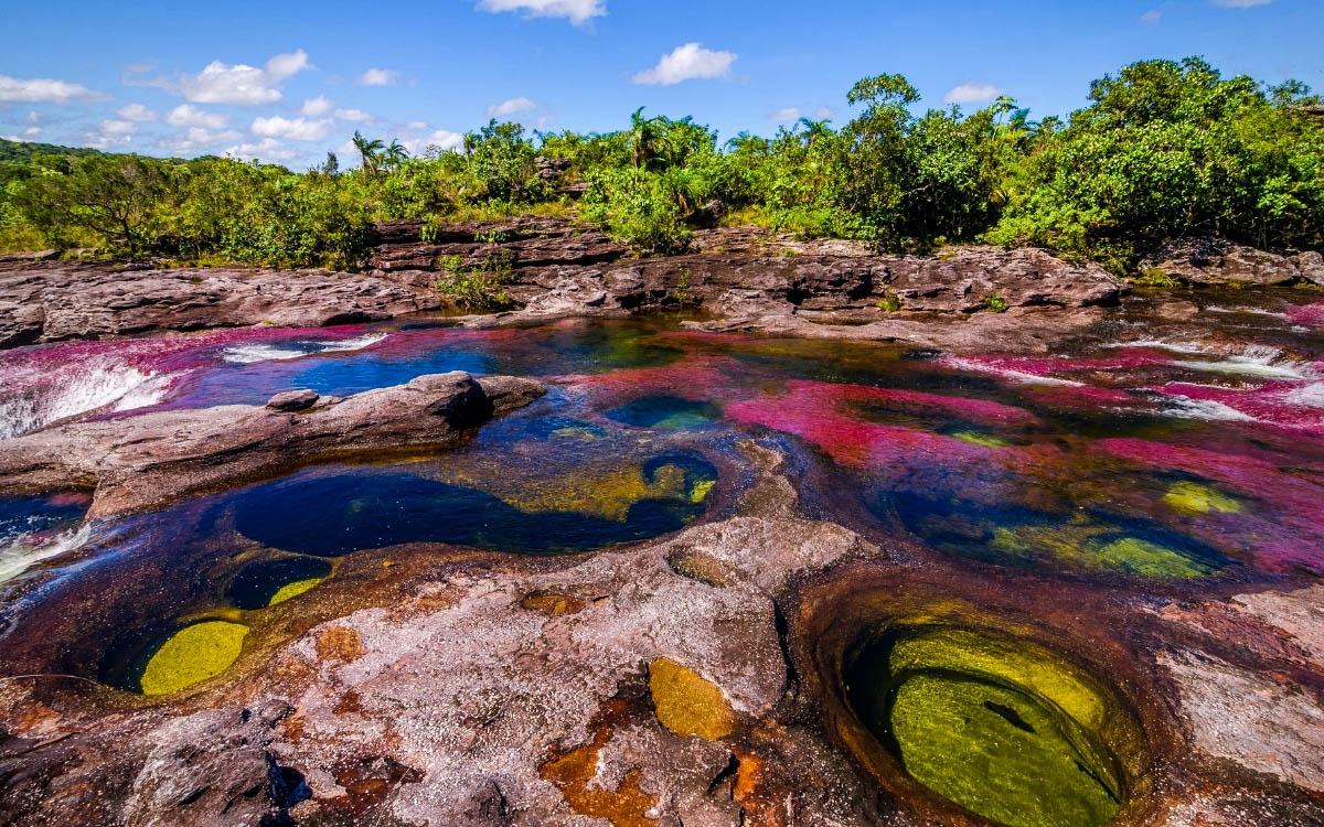 Cano Cristales River - Liquid Rainbow River