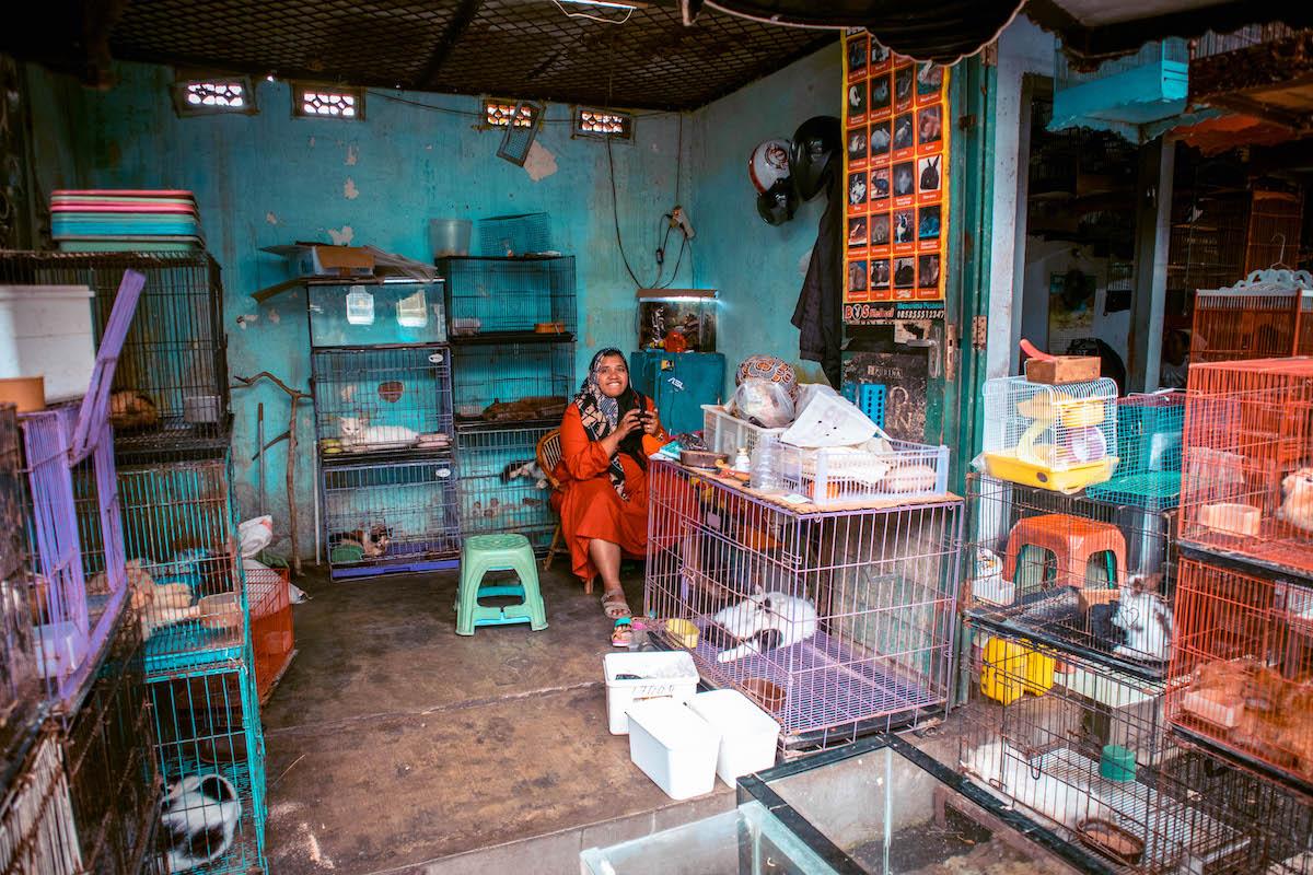 Animal Market Splindit in Malang, Java