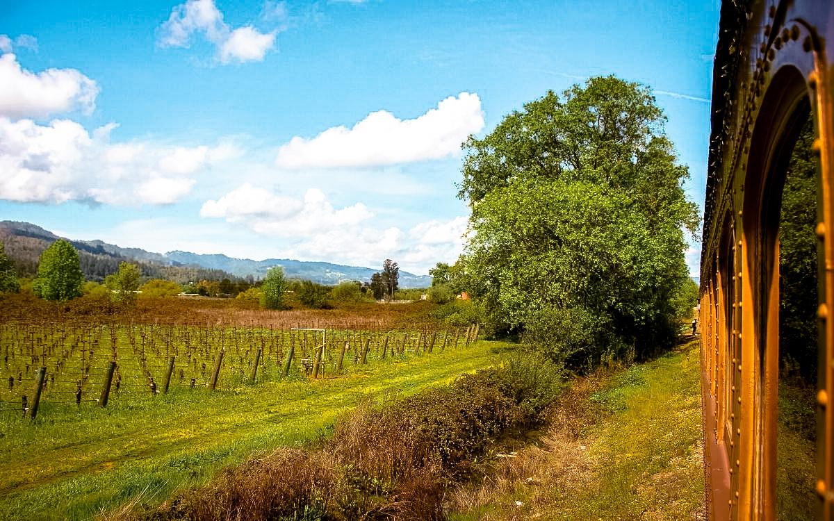 napa valley itinerary, weekend in napa valley, 2 days in napa valley itinerary, napa valley in two days